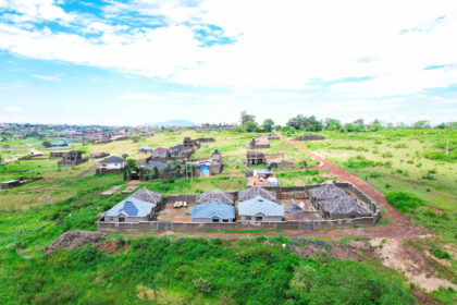 Investment Packages for Diaspora & Groups