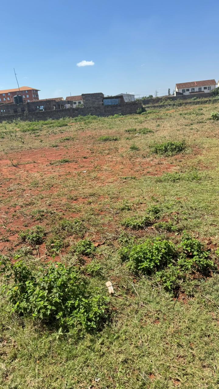 Commercial Plots - Image 4