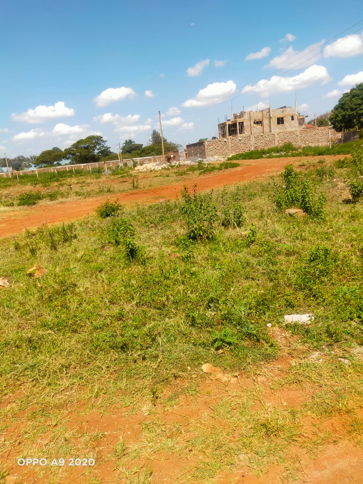 Commercial Plots - Image 5